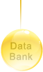 Data Bank